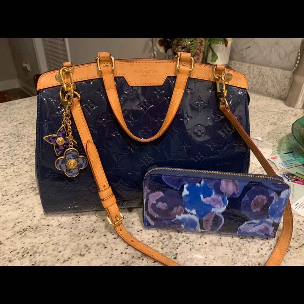 Louis Vuitton Purse and Wallet
